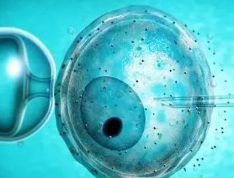 做試管嬰兒吃柚子好嗎2018 試管嬰兒吃柚子長內膜是真的嗎