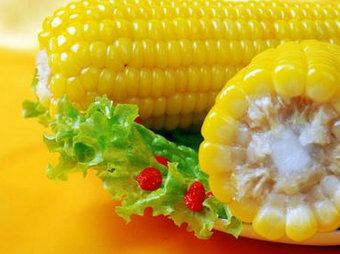 吃玉米拉肚子怎么回事 為什么吃玉米會拉肚子