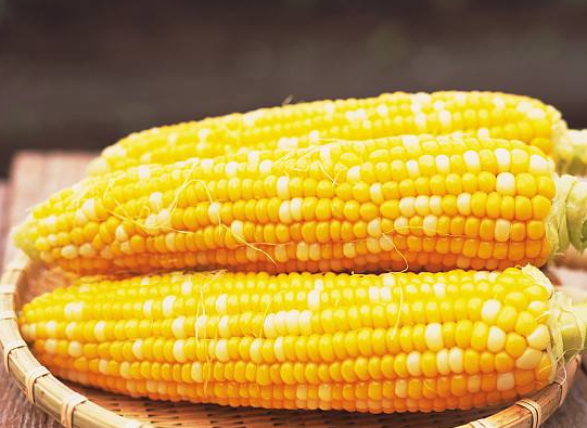 吃玉米拉肚子怎么回事 為什么吃玉米會拉肚子