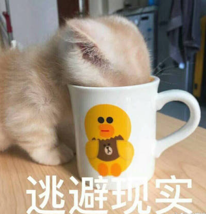 一孕傻三年的說說感慨 一孕傻三年的心情句子體驗