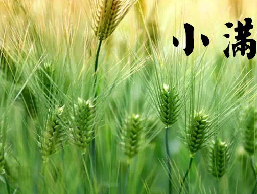 小滿節氣吃什么好 小滿吃什么傳統食物2018