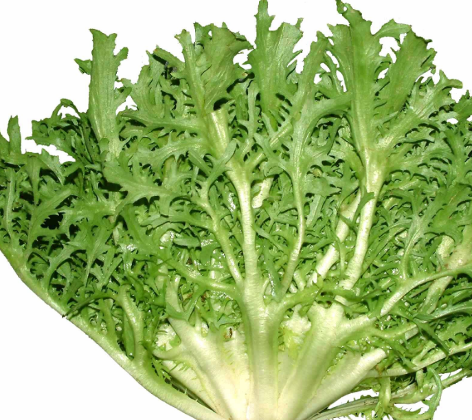 小滿節氣吃什么好 小滿吃什么傳統食物2018