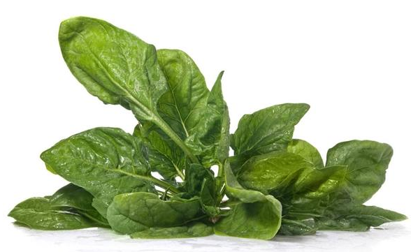 孕婦吃什么寶寶皮膚白 懷孕了吃什么好2018