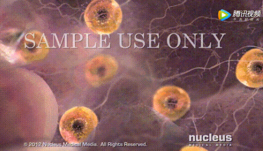 試管嬰兒能只要一個小孩嗎 試管嬰兒只想要一個孩子怎么辦