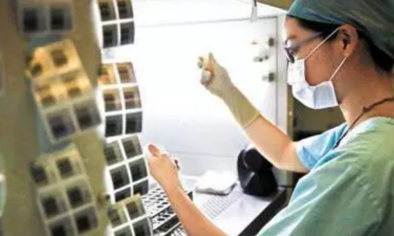 做一次試管嬰兒要幾天 試管嬰兒周期大概多長時間