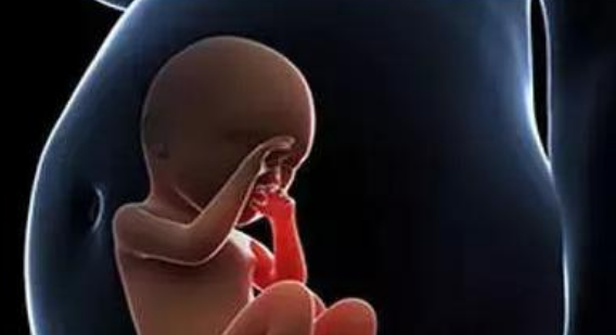 試管嬰兒容易早產(chǎn)真的嗎2018 試管嬰兒早產(chǎn)是什么原因 試管嬰兒容易早產(chǎn)真的嗎2018 試管嬰兒早產(chǎn)是什么原因