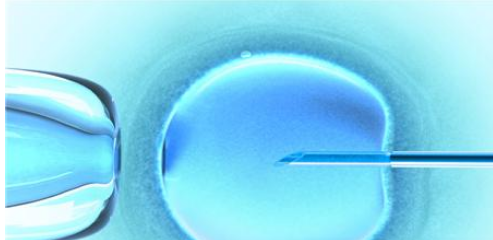 促排針自己在家打的方法2018 打促排針只需要打藥粉嗎 促排針自己在家打的方法2018 打促排針只需要打藥粉嗎