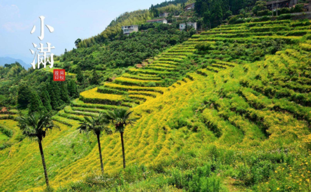 2018小滿節氣帶圖早安心語 小滿唯美配圖早安心情說說