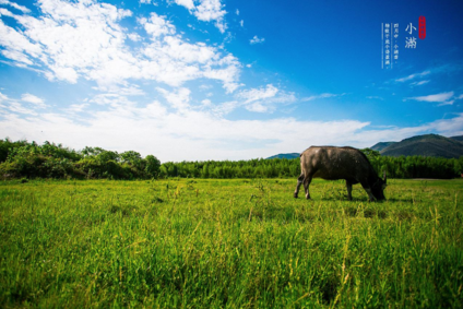 2018小滿節氣帶圖早安心語 小滿唯美配圖早安心情說說