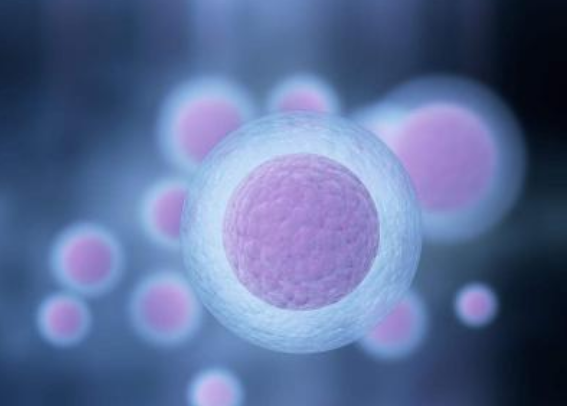 取卵失敗幾率大嗎2018 取卵失敗是怎么回事