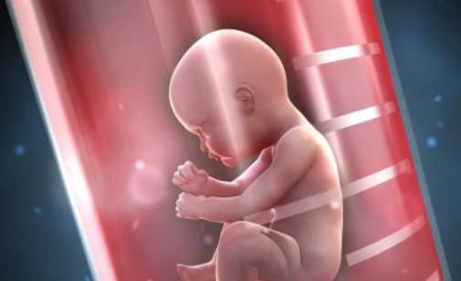 取卵失敗幾率大嗎2018 取卵失敗是怎么回事