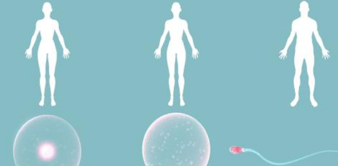 取卵失敗幾率大嗎2018 取卵失敗是怎么回事