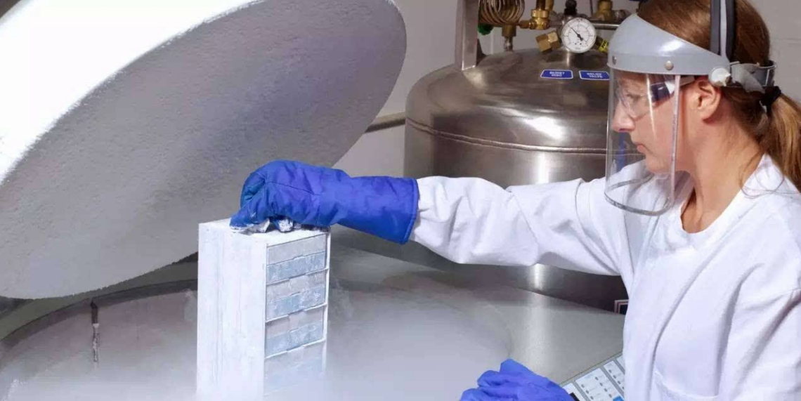 冷凍卵子的最佳年齡是什么時候 冷凍卵子需要什么條件