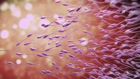 試管嬰兒哪些時候雙方同時到場 需要夫妻雙方同時到場幾天 試管嬰兒哪些時候雙方同時到場 需要夫妻雙方同時到場幾天