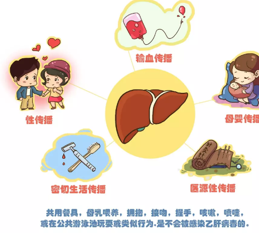 男方乙肝病毒攜帶者能做試管嬰兒嗎 有乙肝病毒做試管嬰兒注意什么