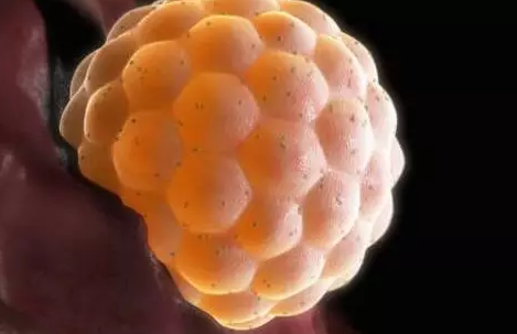 剛開始促排階段能有性生活嗎 試管嬰兒促排這段時(shí)間能同房嗎