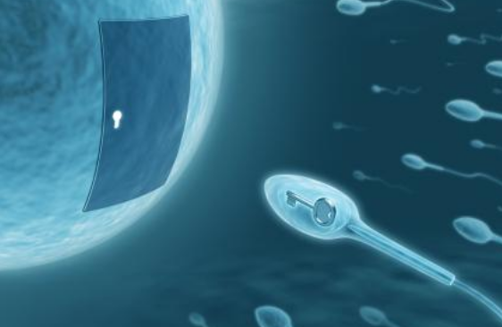 剛開始促排階段能有性生活嗎 試管嬰兒促排這段時(shí)間能同房嗎