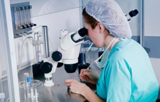 取卵后沒有成功培育到囊胚什么原因 取卵后肚子感覺不舒服怎么回事