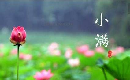 今日小滿的心情說說句子 2018今日小滿節(jié)氣配圖說說短語朋友圈