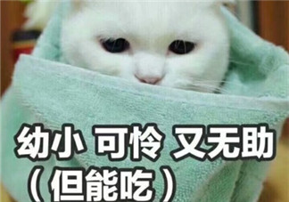 大熱天停電說說心情  停電好熱的說說句子短語