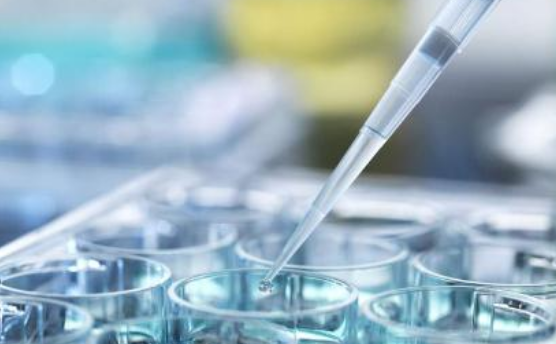 試管嬰兒硬管移植與軟管移植區(qū)別 試管嬰兒移植管選擇