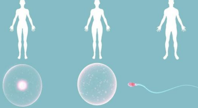 試管嬰兒移植后腹痛原因 試管嬰兒移植后腹痛怎么處理