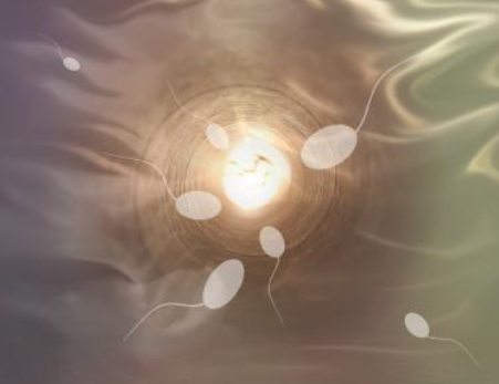 子宮內膜薄能讓受精卵著床嗎 試管嬰兒子宮內膜薄怎么辦