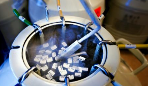 第三代試管嬰兒比第一代試管嬰兒更好嗎 試管嬰兒第三代和第一代區別 第三代試管嬰兒比第一代試管嬰兒更好嗎 試管嬰兒第三代和第一代區別