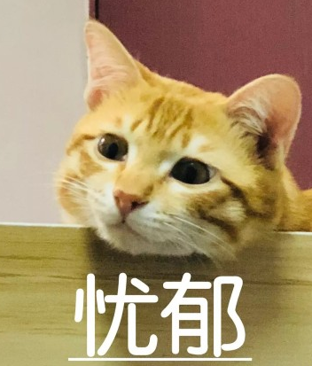 曬黑了的心情說說配圖 形容自己曬黑的句子圖片說說