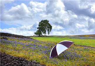 爬山下雨心情說說 2018爬山遇雨的心情短語說說朋友圈