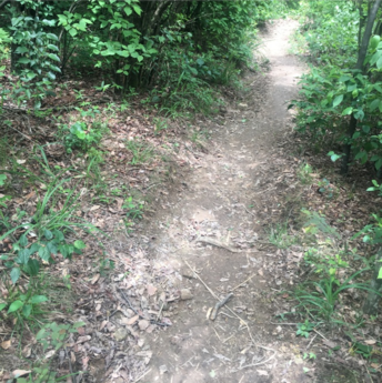 去爬山發什么說說朋友圈好 爬山累并快樂的說說2018