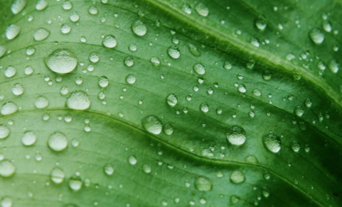 下雨的夜晚心情說說 熟睡的夜晚天空下雨心情的句子2018