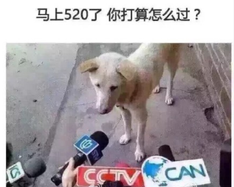 單身狗情人節(jié)怎么過(guò)說(shuō)說(shuō)圖片 大學(xué)單身狗如何平安度過(guò)情人節(jié)發(fā)朋友圈