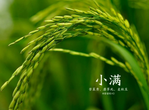 2018小滿節氣快樂的心情說說 今日小滿快樂的句子短語 2018小滿節氣快樂的心情說說 今日小滿快樂的句子短語