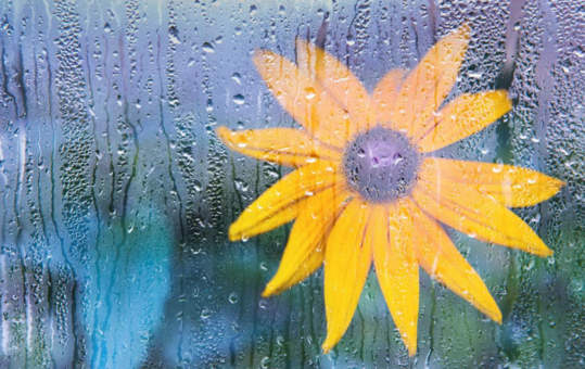 2018描寫淋雨的心情說說 下雨被淋濕一身的句子說說朋友圈