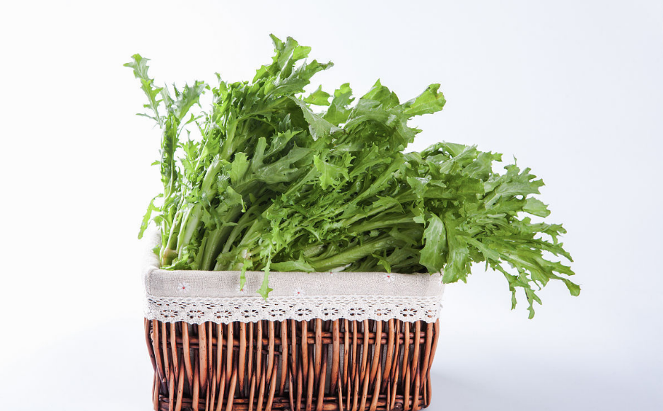 摘野菜住進ICU怎么回事 為什么吃野菜會中毒