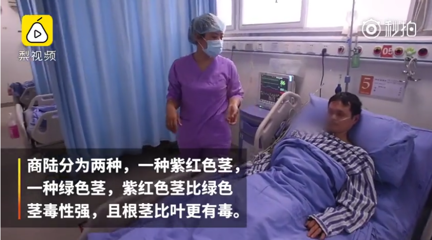 摘野菜住進ICU怎么回事 為什么吃野菜會中毒