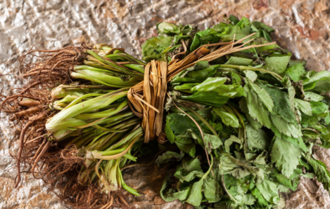摘野菜住進ICU怎么回事 為什么吃野菜會中毒