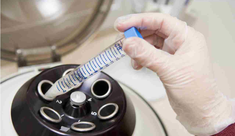 試管嬰兒新鮮胚胎和冷凍胚胎有什么區別 試管嬰兒冷凍胚胎更好嗎 試管嬰兒新鮮胚胎和冷凍胚胎有什么區別 試管嬰兒冷凍胚胎更好嗎