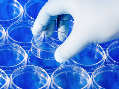 試管嬰兒新鮮胚胎和冷凍胚胎有什么區別 試管嬰兒冷凍胚胎更好嗎 試管嬰兒新鮮胚胎和冷凍胚胎有什么區別 試管嬰兒冷凍胚胎更好嗎