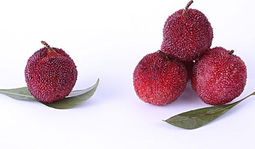 楊梅吃多了會拉肚子嗎 為什么吃楊梅會拉肚子 楊梅吃多了會拉肚子嗎 為什么吃楊梅會拉肚子