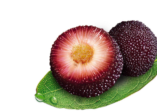 楊梅吃多了會拉肚子嗎 為什么吃楊梅會拉肚子 楊梅吃多了會拉肚子嗎 為什么吃楊梅會拉肚子