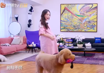 霍思燕套路嗯哼飆演技裝懷孕 霍思燕是想要二胎嗎