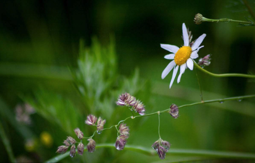 夏季午后的雨心情說說 2018天熱午后下雨的心情感觸說說朋友圈