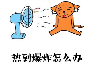 天氣很熱的心情說說配圖 天氣好熱的幽默說說句子