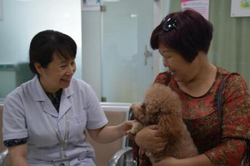 寵物可以做試管嗎 寵物能不能人工受孕