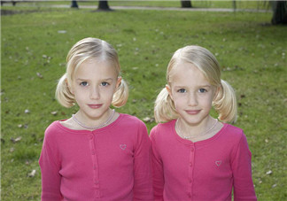 人工受孕與試管嬰兒如何提高雙胞胎機(jī)率 正常人懷雙胞胎的幾率