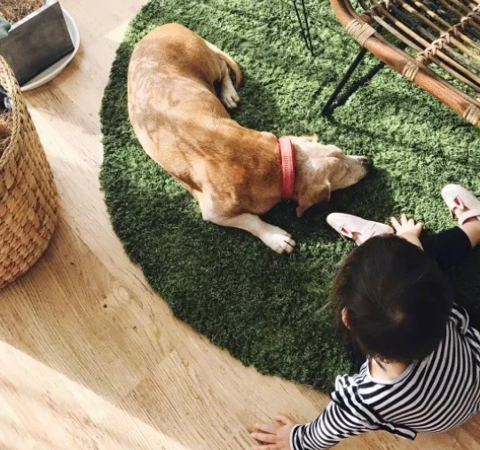 怎么根據(jù)小孩性格選擇游戲 靦腆膽怯的孩子玩什么游戲