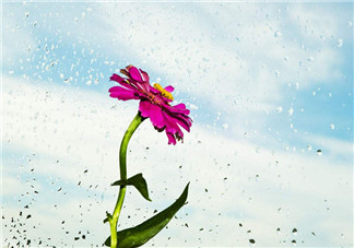 夏季午后的雨心情說說 2018天熱午后下雨的心情感觸說說朋友圈