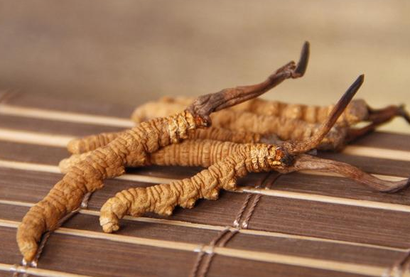 冬蟲夏草小孩子能吃嗎 小孩吃蟲草的危害